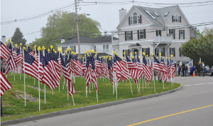 Healing Field
